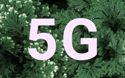 ¿Conoces el 5G verde?
