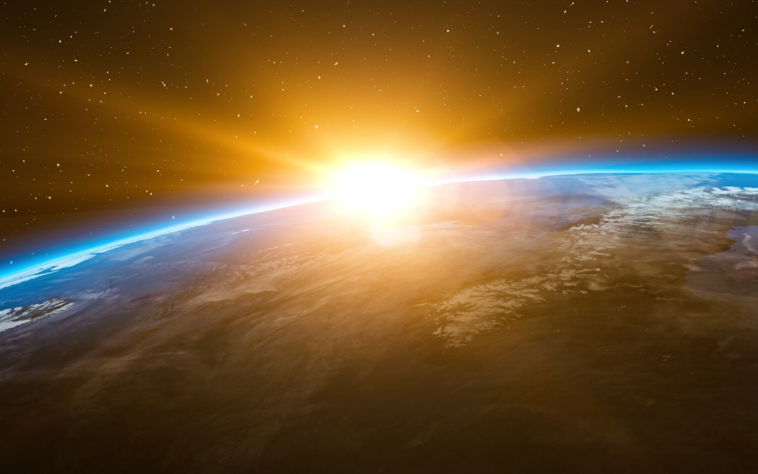 Newsletter – Noviembre 2022